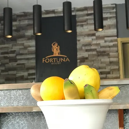 Fortuna Luxury 알란야
